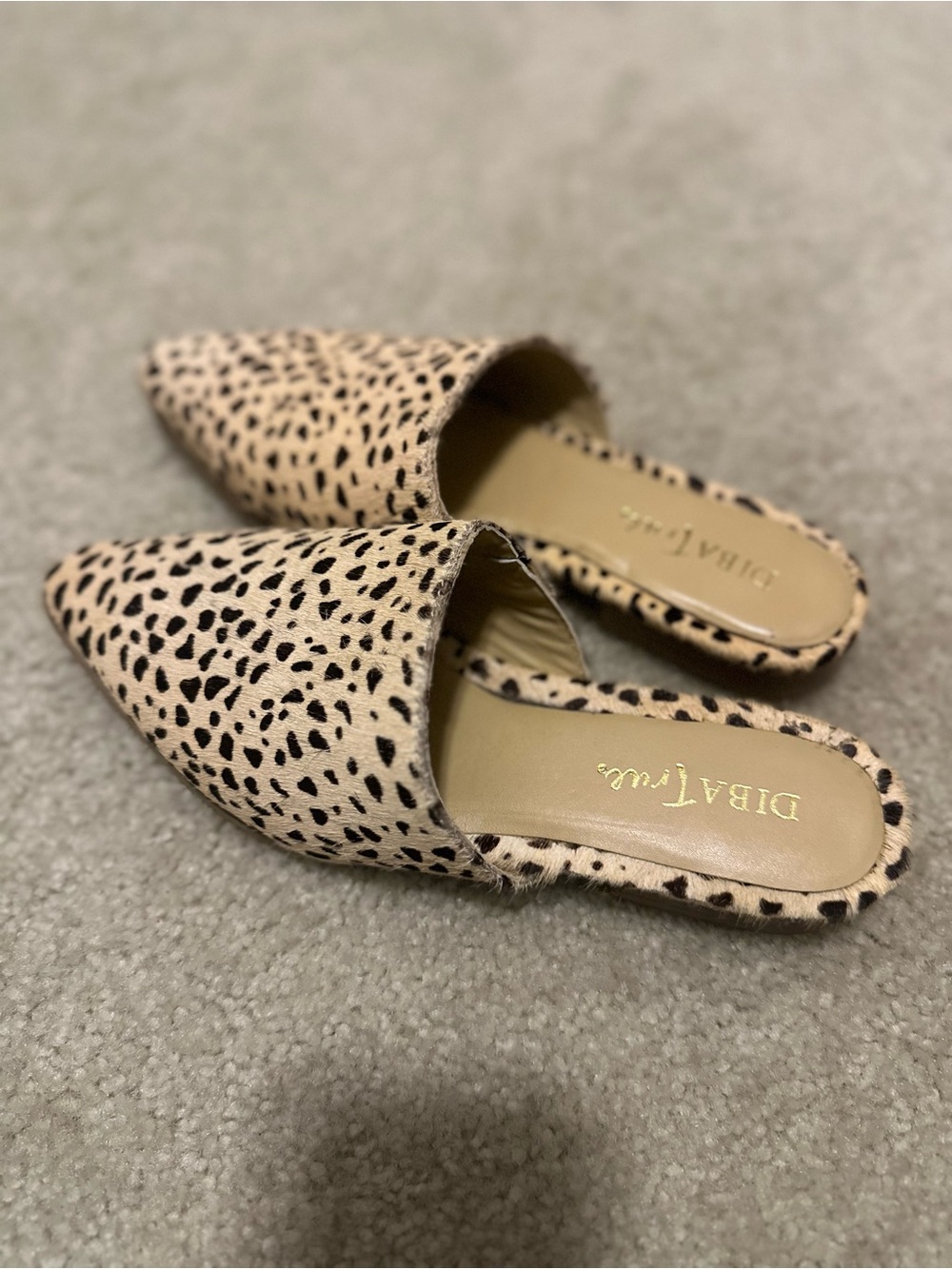 Diba True Leopard Print Pointed-Toe Slide Mules in Beige/Black